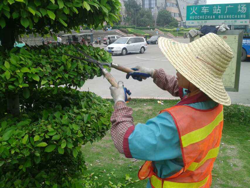 園林綠化施工要點